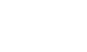 logo-partners_viasat