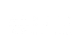 logo-partners_bsed.webp
